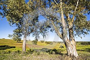 Beautiful landscape of Alentejo and famous national road N2, south of Portugal