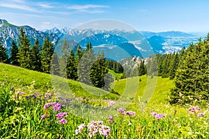 Beautiful Landscape in AllgÃ¤u -  Alps, Tegelberg