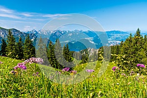 Beautiful Landscape in AllgÃ¤u -  Alps, Tegelberg