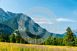 Beautiful Landscape in AllgÃ¤u -  Alps, Tegelberg