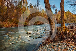 Beautiful landscape of Altai nature, late autumn, Russia.