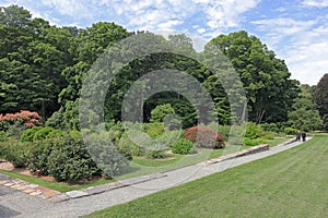 Beautiful landscape in Arnold Arboretum of Harvard University, Boston photo