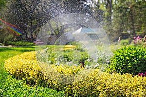 beautiful landscape with automatic sprinkler spraying watering the lawn in the home garden with a rainbow in water drops