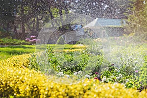 beautiful landscape with automatic sprinkler spraying watering t