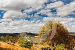 Beautiful landscape with autumn colors under a cloudy sky in Nogales, Spain