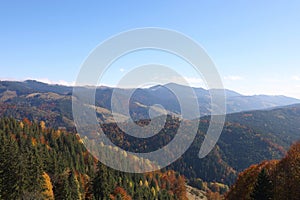 Beautiful landscape with autumn forest in mountains on sunny day