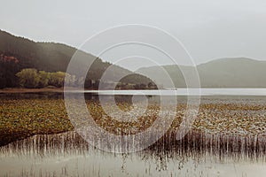 Beautiful landscape in autumn with mountain,  trees and reeds reflecting on a calm lake like a mirror,  Reflection on Abant Lake,