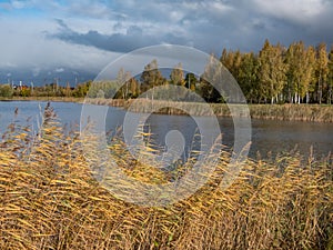 Beautiful landscape of autumn scenery with big lake, spur trees, birch trees and vegetation in yellow, orange and warm toned