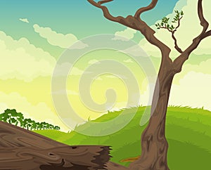 Beautiful Landscape Background vector