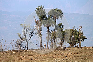 Beautiful landscape at Basohli, Jammu, India