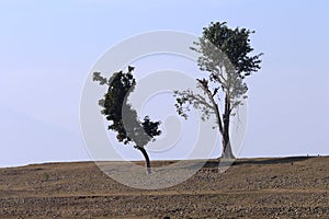 Beautiful landscape at Basohli, Jammu, India