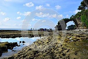 Beautiful landscape beach image of Natural Coral Beach filled with dead and live corals at Neil Island in Andaman and Nicobar Isla