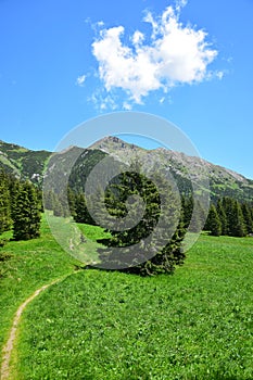 A landscape in the Belianske Tatry in Slovakia