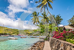 Beautiful landscape of Bequia with palm trees along the waterfront.