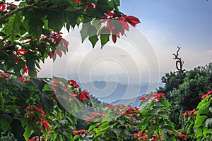 Beautiful landscape with blue and foggy mountaines range in northern Thailand, Chiang Mai province for natural