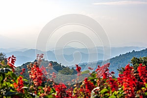 Beautiful landscape with blue and foggy mountaines range in northern Thailand, Chiang Mai province for natural