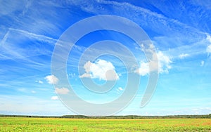 Beautiful landscape with blue sky, green meadow and forest on horizon