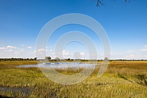 Beautiful landscape Botswana