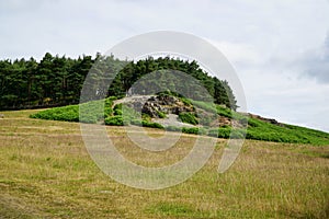 Beautiful landscape of the Bradgate Park, Leicester