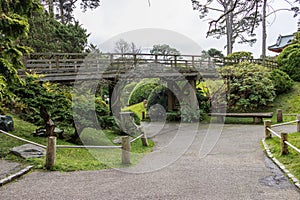 A beautiful landscape with a brown wooden bridge and lush green trees, grass and plants in the Japanese Tea Garden