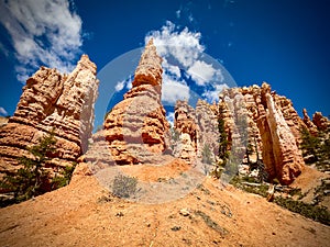 The beautiful landscape of Bryce National Park with sands and trees