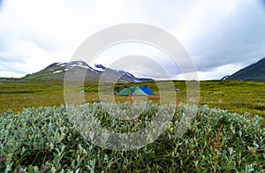 A beautiful landscape with bush in Sarek National Park, Sweden.