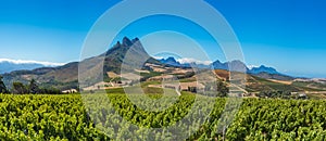 Beautiful landscape of Cape Winelands, wine growing region in South Africa