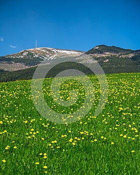 Farebná jarná horská krajina. Kráľova hoľa, Nízke Tatry, Slovensko