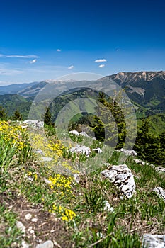 Colorful spring mountain landscape. Mount Velka Chochula, the Low Tatras, Slovakia