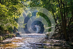 Beautiful landscape on Cascadilla Gorge Trail in Ithaca