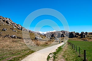 A beautiful landscape of Castle Hill with blue sky, Canterbury, New Zealand