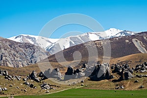 A beautiful landscape of Castle Hill with blue sky, Canterbury, New Zealand