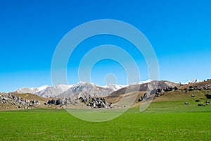 A beautiful landscape of Castle Hill with blue sky, Canterbury, New Zealand