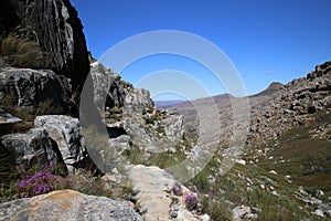 Beautiful landscape in Cederberg nature reserve, South Africa.