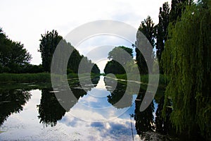 Beautiful landscape with channel and forest around it