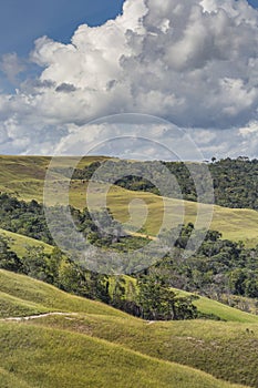 Beautiful landscape characteristic for the Gran Sabana - Venezuela, Latin America