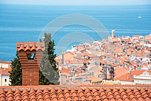 Beautiful landscape with a chimney on the house and tiled roofs