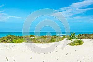 Beautiful landscape of clear turquoise ocean and sandy beach in Saadiyat island photo