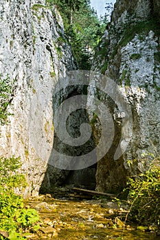 A beautiful landscape of cliffs in forest in Low Tatra region.