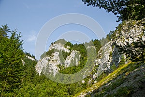 Krásna krajina útesov v lese v regióne Nízke Tatry.