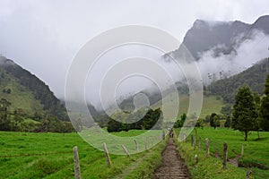 Beautiful landscape of the Cocora Valley, near to the colonial town of Salento, in Colombia photo