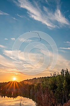 Beautiful landscape with colorful sunset over forest lake, Epic red and golden clouds above the forest lake at sunrise