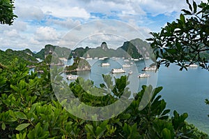 Beautiful landscape with cruise boats in Halong bay