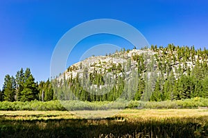 Beautiful landscape in Devils Postpile National Monument