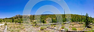 Beautiful landscape in Devils Postpile National Monument