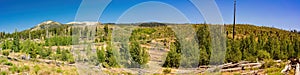 Beautiful landscape in Devils Postpile National Monument