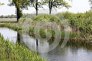 Beautiful landscape in Drenthe