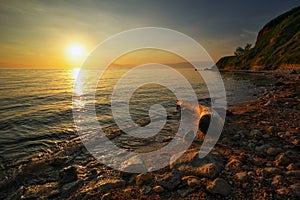 Beautiful landscape with driftwood, sea and sunset sky. Composition of nature