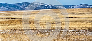 beautiful landscape with dry grass and snow capped mountains, krasnoyarsk