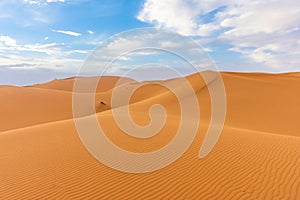 Beautiful landscape of the dunes of the Sahara Desert at dusk, Merzouga morocco